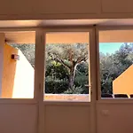 Le Mimose *