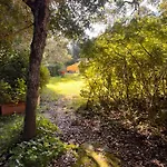 Le Mimose Appartamento