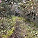 Appartamento Le Mimose Punta Ala