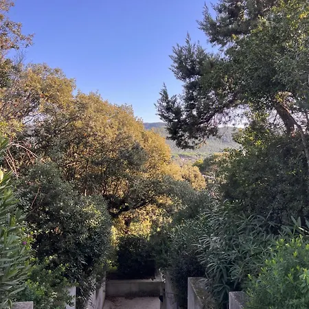 Apartmán Le Mimose *