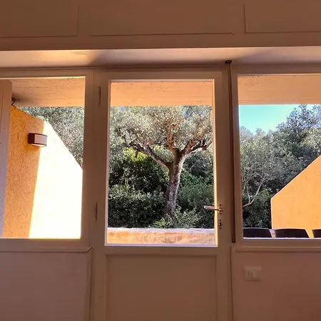 Le Mimose *