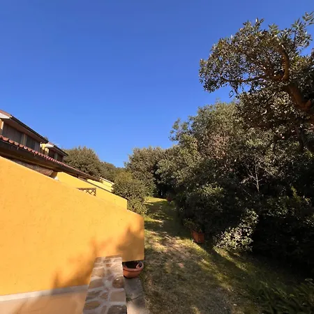 Appartement Le Mimose