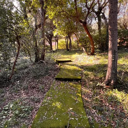 Appartement Le Mimose *