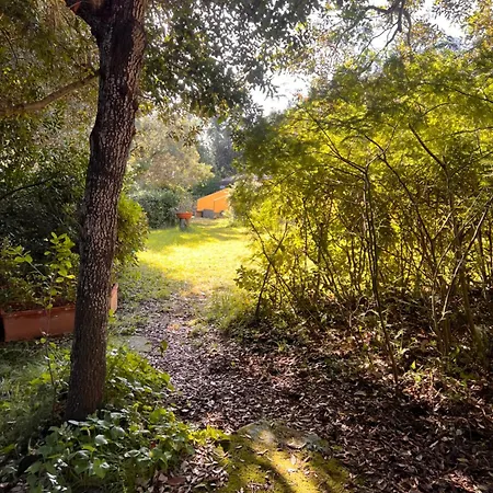 Le Mimose Apartmán