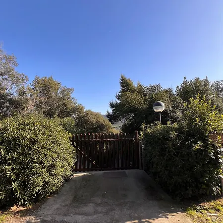 Le Mimose Appartement *