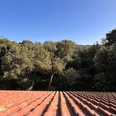 Le Mimose Apartmán Punta Ala
