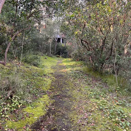 Apartmán Le Mimose Punta Ala