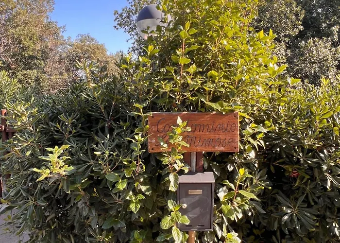 Le Mimose Apartmán *