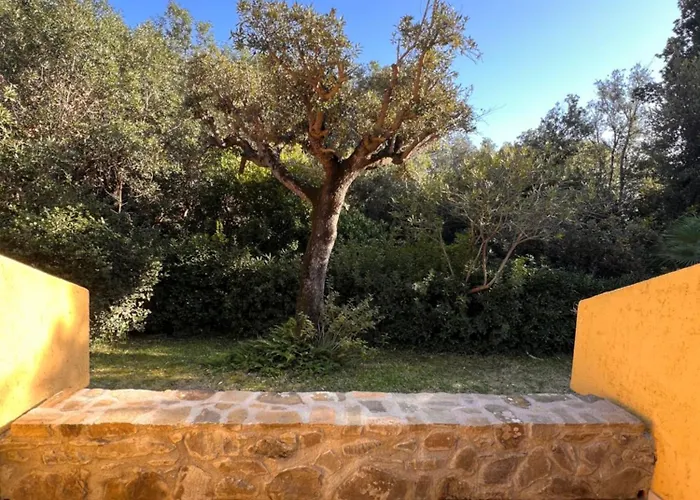Le Mimose Apartmán