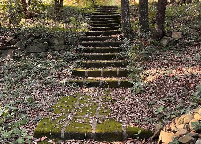 Le Mimose 아파트 푼타알라