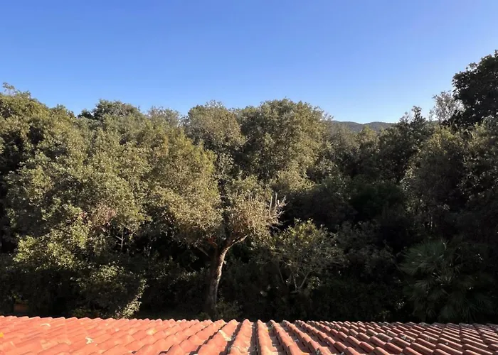 Le Mimose Apartmán Punta Ala